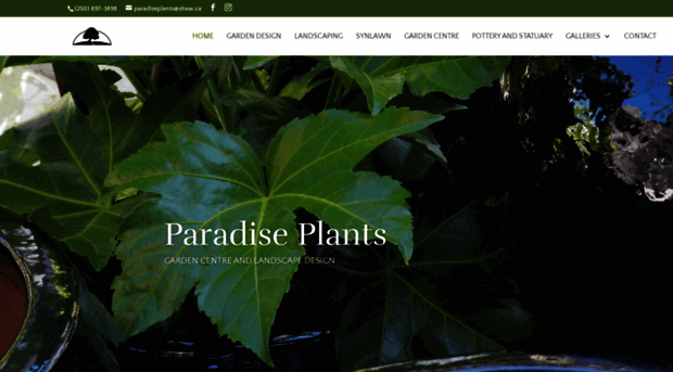 paradiseplantsgardencentre.com