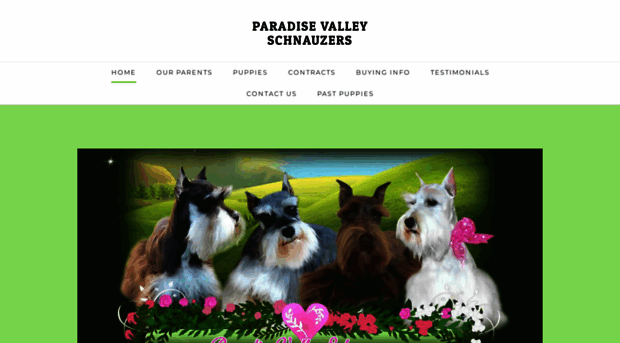 paradisevalleyschnauzers.com