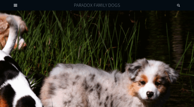 paradoxfamilydogs.com