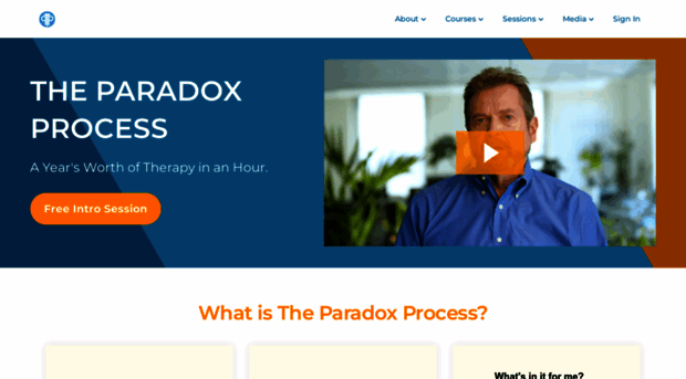 paradoxprocess.org