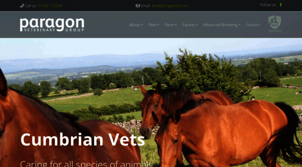 paragonvet.com