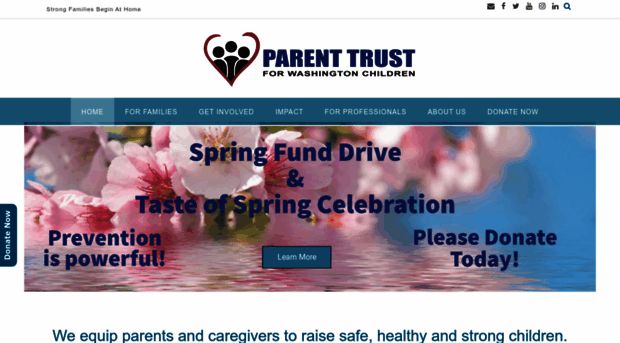 parenttrust.org