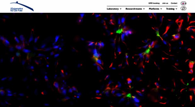 parisepigenetics.com