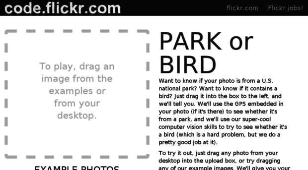 parkorbird.flickr.com