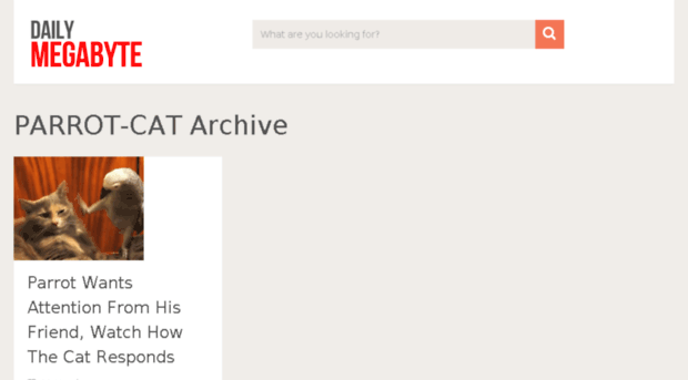 parrot-cat.dailymegabyte.com