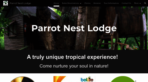 parrot-nest.com