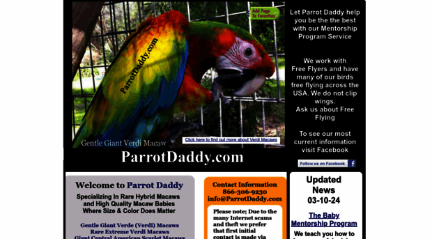 parrotdaddy.com