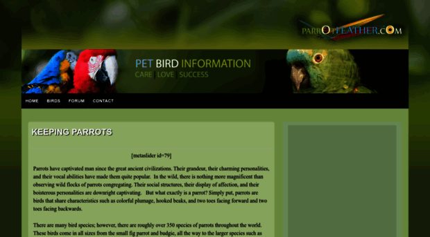 parrotfeather.com