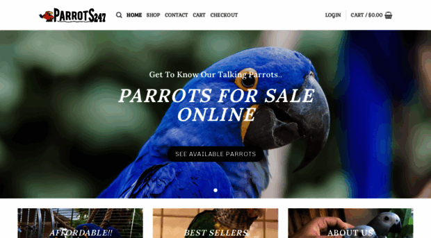 parrots247.com