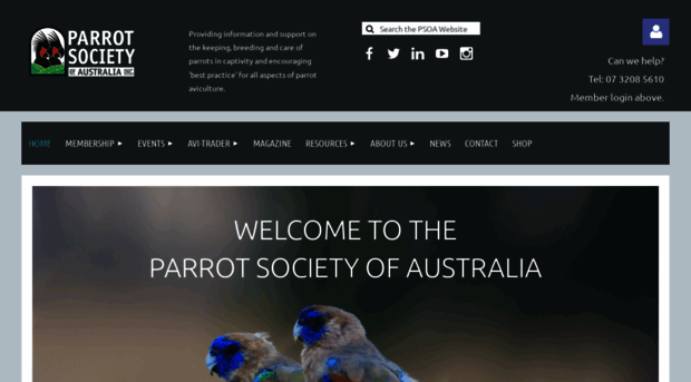 parrotsociety.org.au