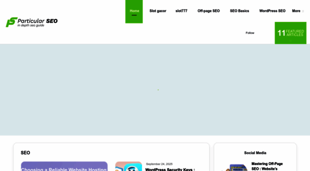 particularseo.com