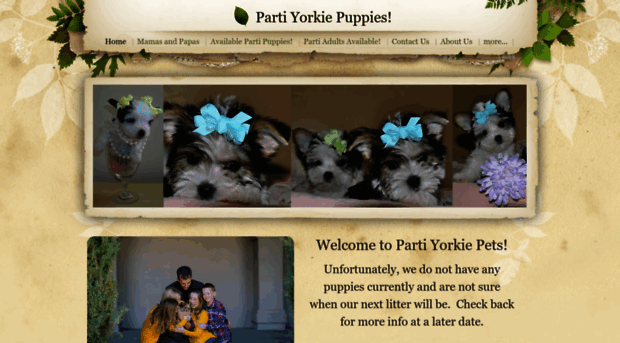 partiyorkiepets.com