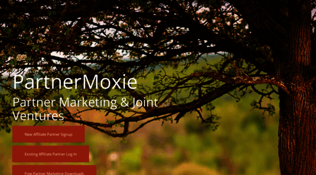 partnermoxie.com