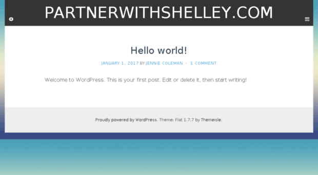 partnerwithshelley.com