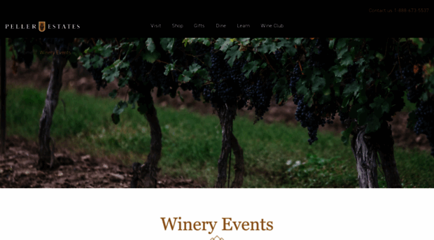 partyinthevineyard.com