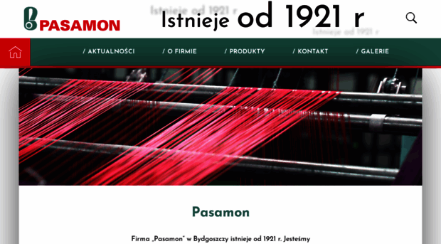 pasamon.com.pl