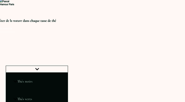 pascal-hamour.fr