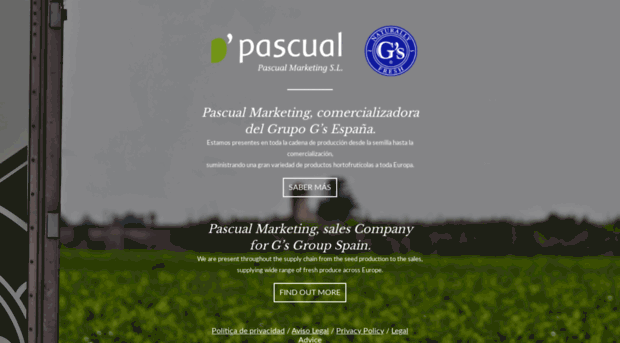 pascualmarketing.com