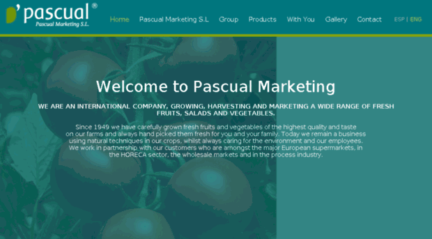 pascualmarketing.es