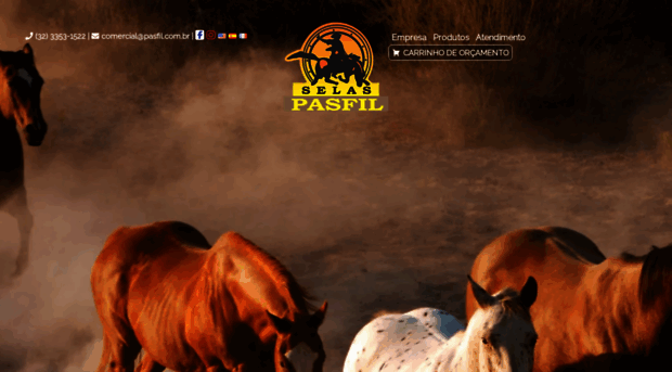 pasfil.com.br