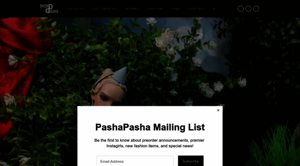 pashapashanewyork.com