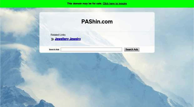 pashin.com