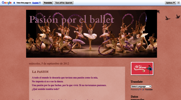 pasionballet.blogspot.com