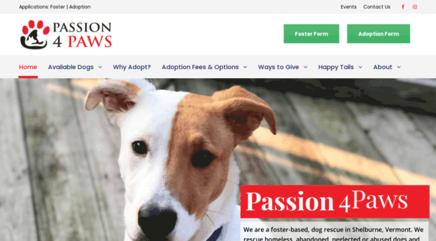 passion-4-paws.org