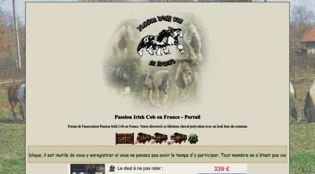 passion-irish-cob.forumactif.com