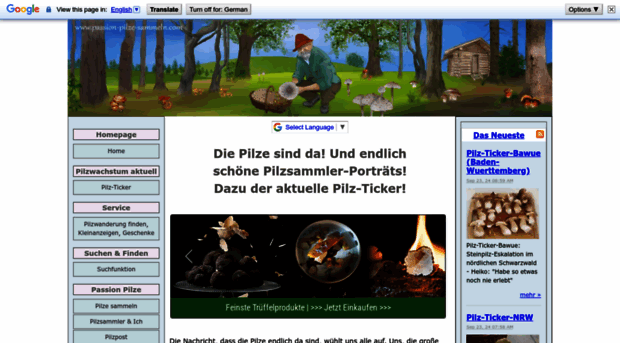 passion-pilze-sammeln.com