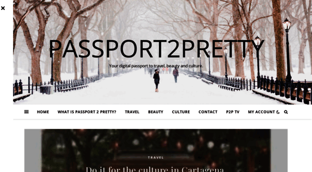 passport2pretty.com