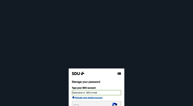 password.sdu.dk