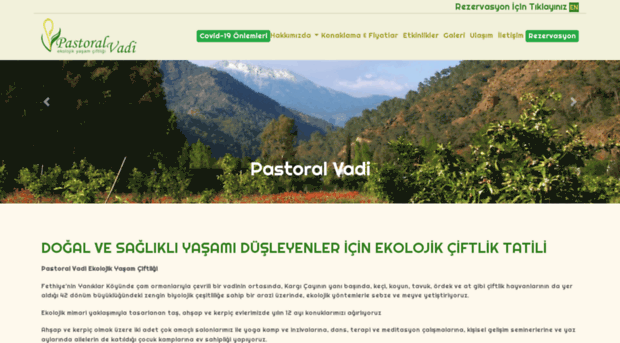 pastoralvadi.com