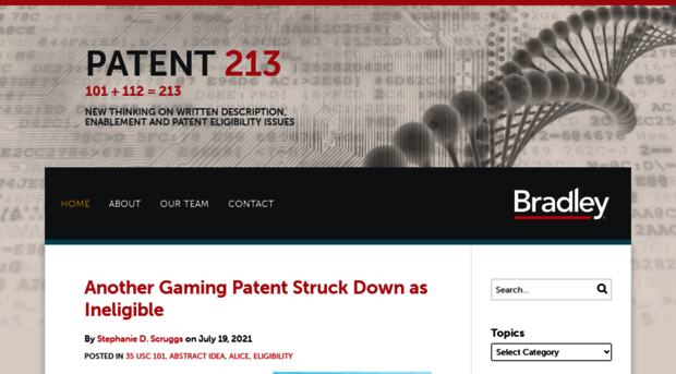 patent213.com