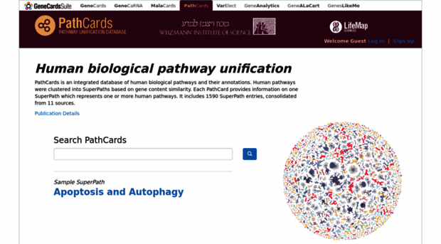 pathcards.genecards.org