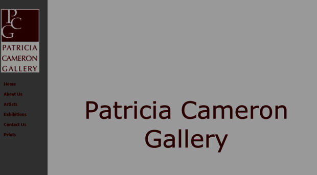 patriciacamerongallery.com