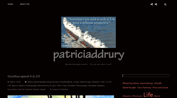 patriciaddrury.com