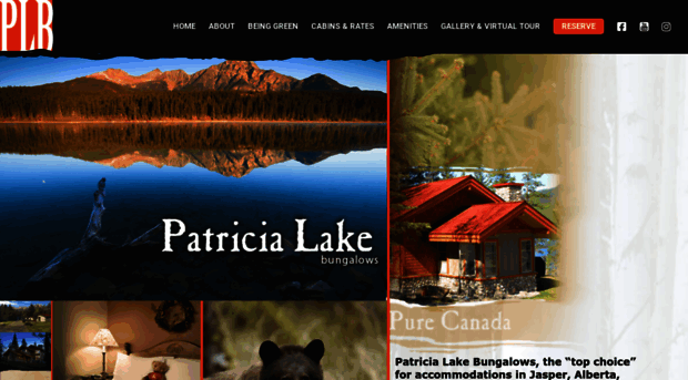 patricialakebungalows.com