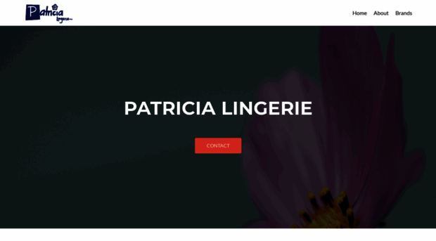 patricialingerie.com