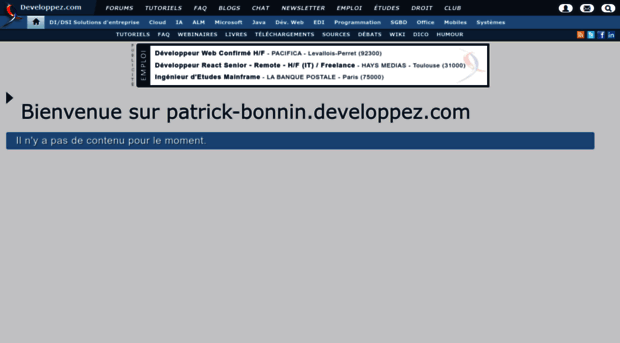 patrick-bonnin.developpez.com