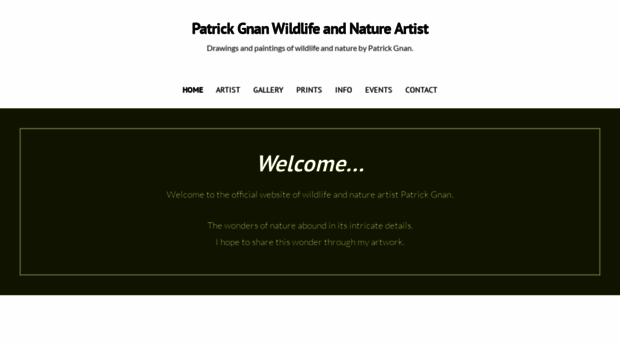 patrickgnan.com