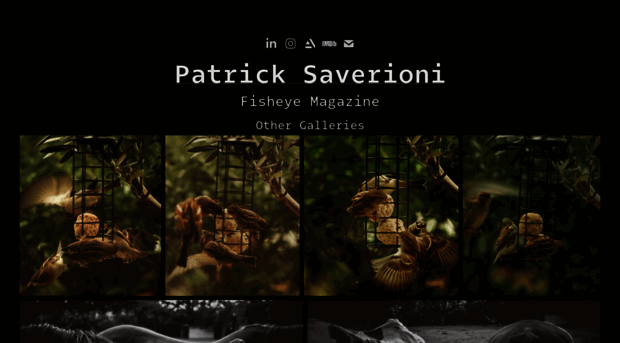 patricksaverioni.myportfolio.com