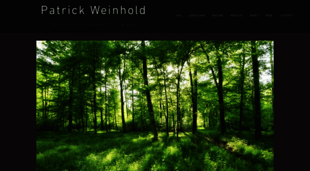 patrickweinhold.com