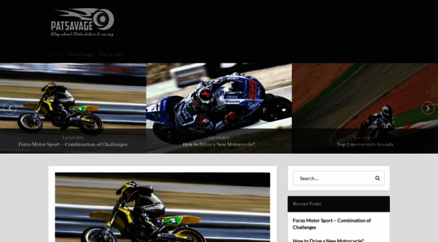 patsavage.net