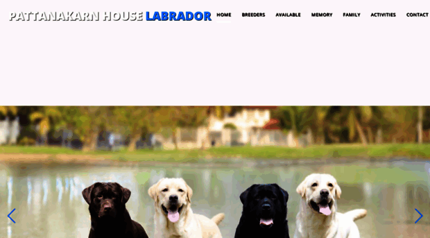 pattanakarnhouse.com