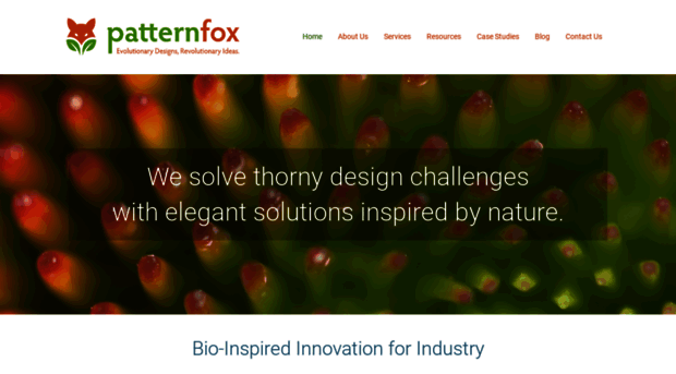 patternfoxconsulting.com