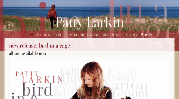 pattylarkin.com