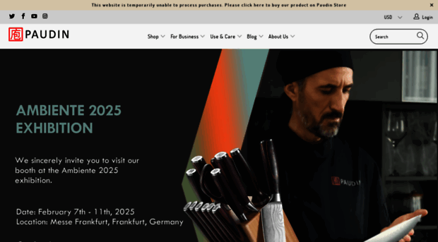 paudinpro.com