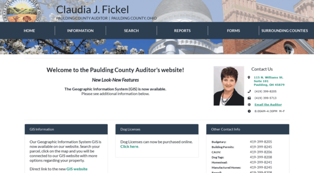 pauldingcountyauditor.com