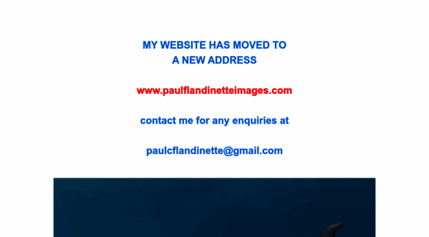 paulflandinette.com